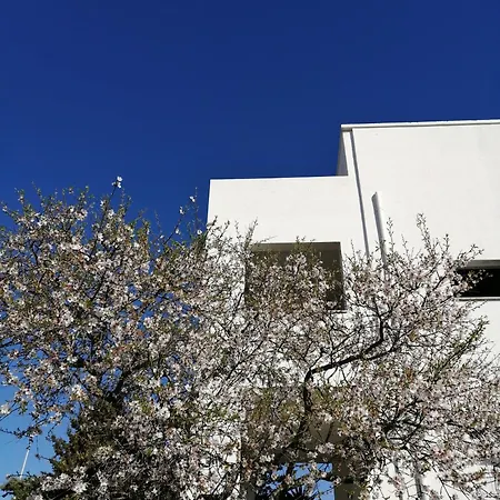 Oltre Le Dune 3* Murta Maria